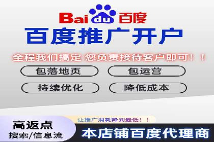 搜索引擎营销（SEM）的精准投放技巧案例